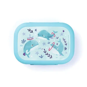 קופסת אוכל לילדים Sealife לוויתן Amuse